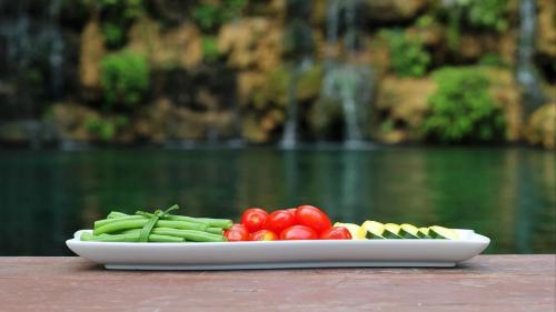 Food Display